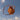Alani 1|hero_img
