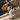 Rylee 3|hero_prt