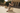 Thomas 5|hero_img