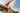 Evan 1|hero_img