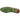 Alonzo 1