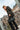 Capri|model