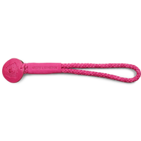Alix 1